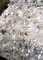 H - Calcaire a potamides du Lutétien moyen