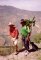 Pierre-Olivier Combelles en excursion botanique dans les Andes