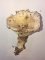 Russula densifolia - Russule à lames serrées