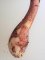 Leucoagaricus ionidicolor - pied bulbeux nettoyé