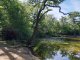 Mare aux canes