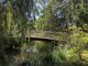 petit pont sur l'étang de l'arboretum