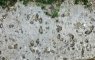 9 – Calcaire dolomitique à Potamides (Lutétien supérieur)